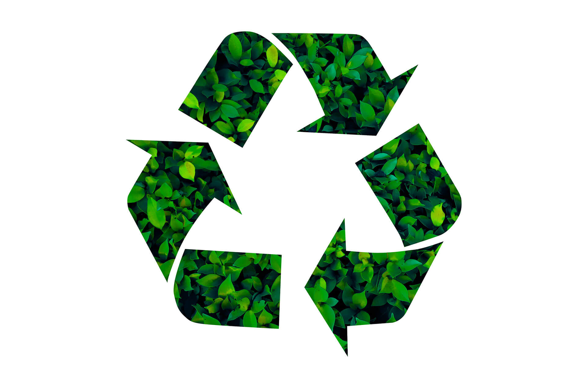 photo of green recycle logo with leaves inside the shape