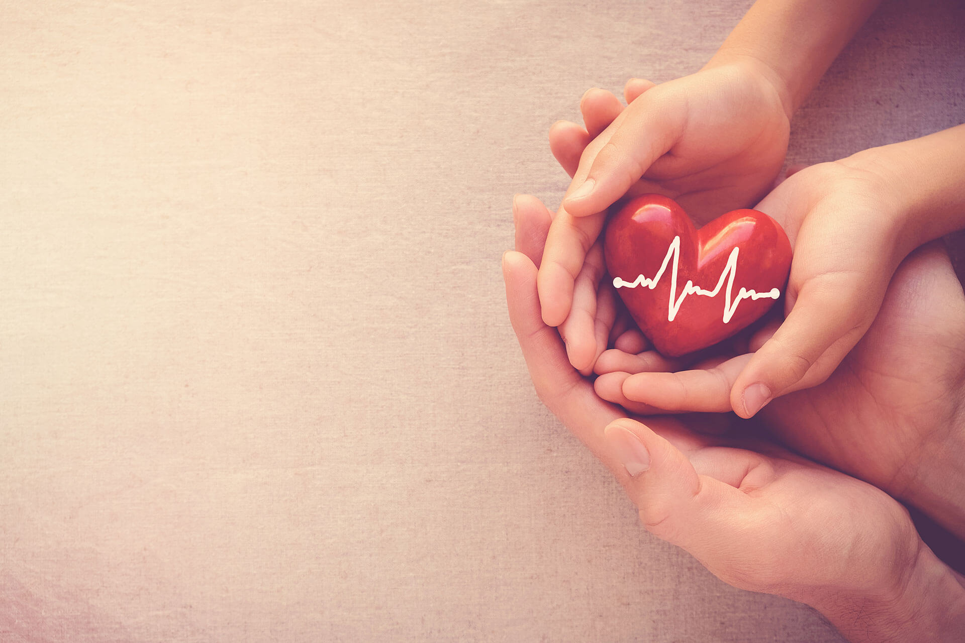 photo of two hands holding a dominant red and white heart